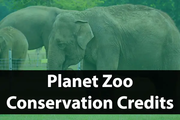 What Are Conservation Credits In Planet Zoo?